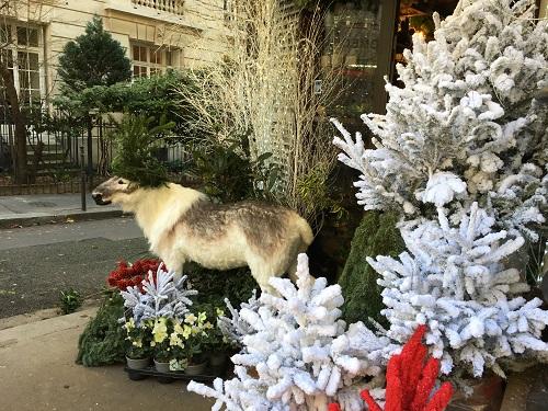 Sapin de Noël C21 paris 16 Auteuil